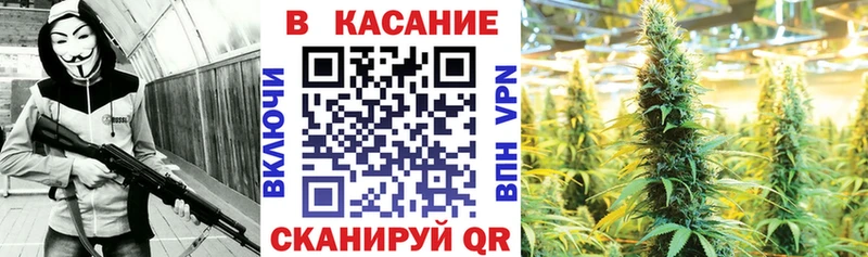 Сколько стоит Севск Псилоцибиновые грибы  АМФ  МАРИХУАНА  Гашиш  Cocaine 