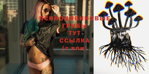 метадон Белокуриха