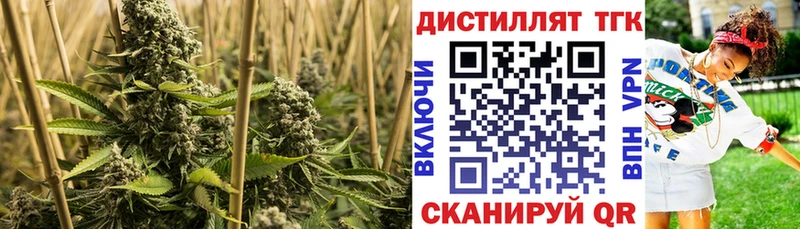 ТГК вейп  Севск 