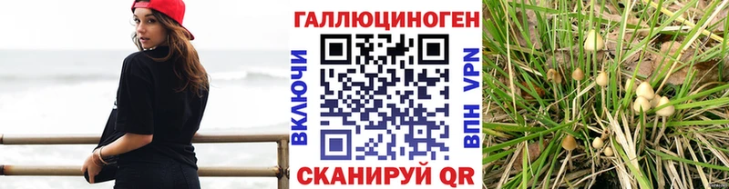 Галлюциногенные грибы прущие грибы  Севск 